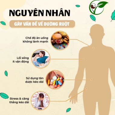 Trà Thải Độc Ruột Thảo Mộc Xanh - Sạch Đường, Giảm Táo Bón, Hỗ Trợ Tiêu Hóa, 30 lọc - Giá 111k