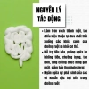 Trà Thải Độc Ruột Thảo Mộc Xanh - Sạch Đường, Giảm Táo Bón, Hỗ Trợ Tiêu Hóa, 30 lọc - Giá 111k 8