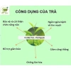 Trà Thái Nguyên 1KG (2 túi 500g) ngon đặc sản, thơm đậm đà - Giá ưu đãi 240.000₫ 4