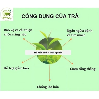 Trà Thái Nguyên 1KG (2 túi 500g) ngon đặc sản, thơm đậm đà - Giá ưu đãi 240.000₫