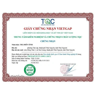 Trà Thái Nguyên 1KG (2 túi 500g) ngon đặc sản, thơm đậm đà - Giá ưu đãi 240.000₫