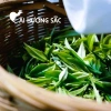 Trà Thái Nguyên Ái Hương Sắc - Chè xanh búp non 250g vị đậm hậu ngọt, tốt cho sức khỏe - 178k 4
