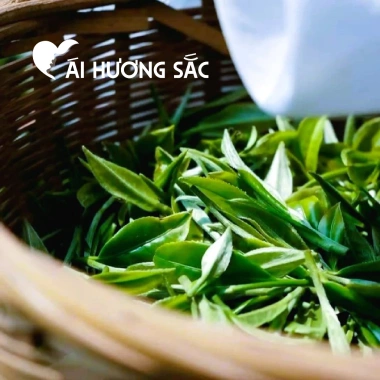 Trà Thái Nguyên Ái Hương Sắc - Chè xanh búp non 250g vị đậm hậu ngọt, tốt cho sức khỏe - 178k 4 Trà Thái Nguyên Ái Hương Sắc - Chè xanh búp non 250g vị đậm hậu ngọt, tốt cho sức khỏe - 178k 4