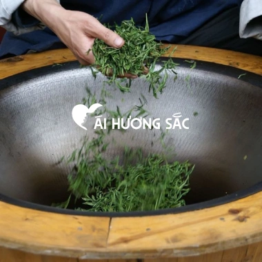 Trà Thái Nguyên Ái Hương Sắc - Chè xanh búp non 250g vị đậm hậu ngọt, tốt cho sức khỏe - 178k 7 Trà Thái Nguyên Ái Hương Sắc - Chè xanh búp non 250g vị đậm hậu ngọt, tốt cho sức khỏe - 178k 7