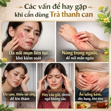 Trà Thanh Can Lương Y Hạnh Phúc - Thải độc gan, giảm mụn, phục hồi gan - 152k VND