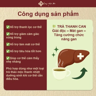 Trà Thanh Can Lương Y Hạnh Phúc - Thải độc gan, giảm mụn, phục hồi gan - 152k VND