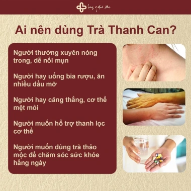 Trà Thanh Can Lương Y Hạnh Phúc - Thải độc gan, giảm mụn, phục hồi gan - 152k VND