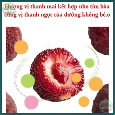 Trà Thanh Mai Nho Tím thanh lọc giải nhiệt, làm đẹp da chỉ 35.000 VND giảm giá hot