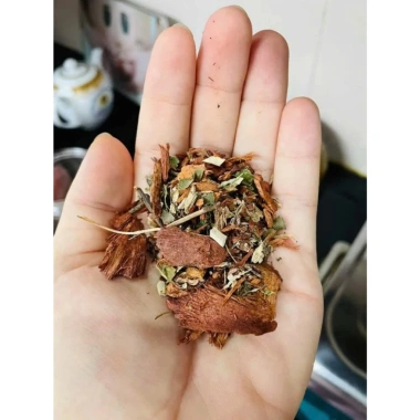 Trà Thanh Nhiệt Hỗ Trợ Ngủ Ngon, Lợi Tiểu, Tăng Sức Đề Kháng - Chỉ 200k