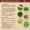 Trà thảo mộc An Bì 12 vị - Thanh mát, thanh nhiệt da, giảm mụn viêm, chỉ 180.000đ 3