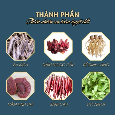 Trà Thảo Mộc Bổ Dưỡng Ba Kích Ngọc Cẩu Linh Chi Cường Nam Dương Chính Hãng 54.000 VND