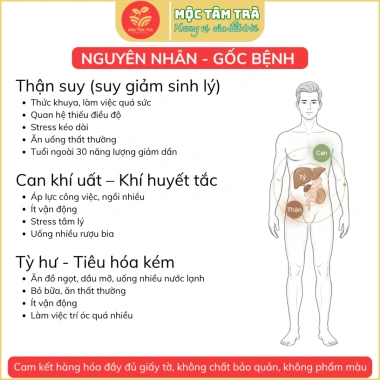 Trà Thảo Mộc Nam Giới Hộp 30 Gói - Hỗ Trợ Sinh Lực Giá Ưu Đãi 45.000 VND 6 Trà Thảo Mộc Nam Giới Hộp 30 Gói - Hỗ Trợ Sinh Lực Giá Ưu Đãi 45.000 VND 6