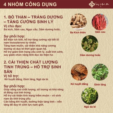 Trà Thảo Mộc Phục Dương 50 Túi - Bổ Thận, Tráng Dương, Dưỡng Thận, Mạnh Tâm, Thông Huyết Mạch - 185.000 VND
