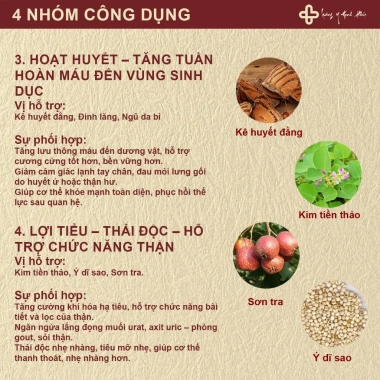 Trà Thảo Mộc Phục Dương 50 Túi - Bổ Thận, Tráng Dương, Dưỡng Thận, Mạnh Tâm, Thông Huyết Mạch - 185.000 VND 4 Trà Thảo Mộc Phục Dương 50 Túi - Bổ Thận, Tráng Dương, Dưỡng Thận, Mạnh Tâm, Thông Huyết Mạch - 185.000 VND 4
