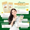 Trà Thiên Niên Kiện Cỏ Xước Túi Lọc – Combo Giảm Đau Xương Khớp, Tê Bì Tay Chân, Giá 55.000 VND (Giảm từ 71.500 VND) 4