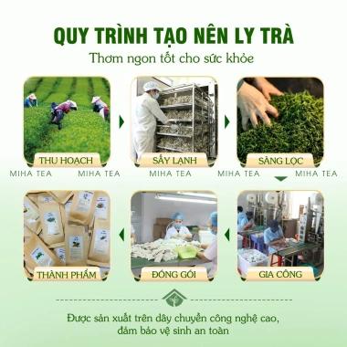 Trà Thiên Niên Kiện Cỏ Xước Túi Lọc – Combo Giảm Đau Xương Khớp, Tê Bì Tay Chân, Giá 55.000 VND (Giảm từ 71.500 VND)
