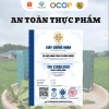 Trà tía tô Minh Huyền Foods 60g hộp/túi - Giảm 23% - Thảo dược tự nhiên hỗ trợ giảm cân, đề kháng 7