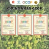 Trà tía tô Minh Huyền Foods 60g hộp/túi - Giảm 23% - Thảo dược tự nhiên hỗ trợ giảm cân, đề kháng 8