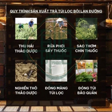 Trà tiểu dắt tiểu buốt Bội Lan Đường 50 lọc - Giảm giá 20% - Giá chỉ 176.000đ