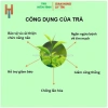 Trà tôm nõn 500g Tân Cương Thái Nguyên – Trà Thái Nguyên chính hiệu, shop uy tín 3