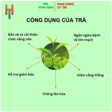 Trà tôm nõn 500g Tân Cương Thái Nguyên – Trà Thái Nguyên chính hiệu, shop uy tín