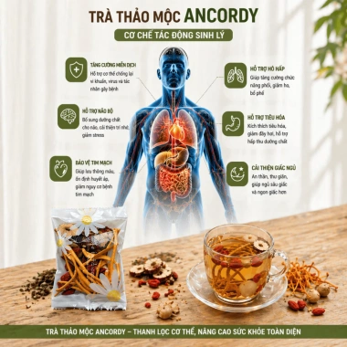 Trà Tứ Vị Ancordy – Đông Trùng Hạ Thảo, Táo Đỏ Kỷ Tử Long Nhãn – Gói Thảo Mộc 71.400đ 3