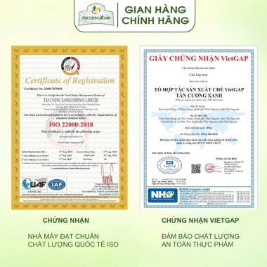 Trà Túi Lọc Bịch 100 Gói - Trà Sen, Trà Nhài, Trà Xanh, Trà Sạch Tân Cương Xanh 145.800₫