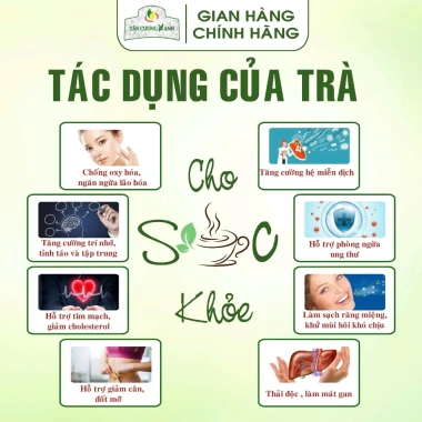 Trà Túi Lọc Bịch 100 Gói - Trà Sen, Trà Nhài, Trà Xanh, Trà Sạch Tân Cương Xanh 145.800₫