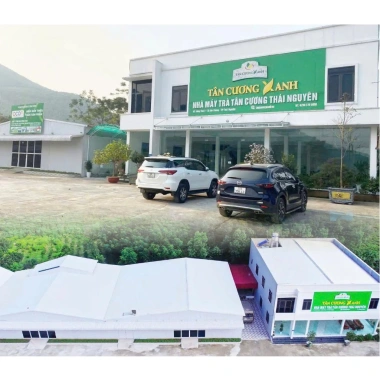 Trà Túi Lọc Bịch 100 Gói - Trà Sen, Trà Nhài, Trà Xanh, Trà Sạch Tân Cương Xanh 145.800₫