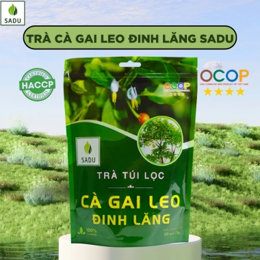 Trà Túi Lọc Cà Gai Leo Đinh Lăng Sadu 250g - Thư Giãn, Hỗ Trợ Tuần Hoàn, 79.000₫