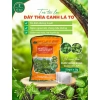 Trà túi lọc dây thìa canh lá to 250g - 50 gói x5g, giảm giá 20% chỉ 185.000₫