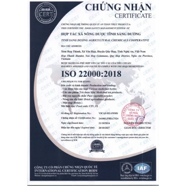 Trà Túi Lọc Xạ Cung 100 Gói - Tĩnh Sáng Đường Hỗ Trợ Khối U Ưu Đãi 140.000 VNĐ