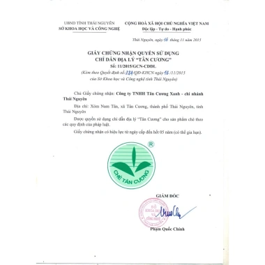 Trà Ướp Hoa Nhài Tân Cương Xanh 100-500gr - Thơm Ngon, Giải Nhiệt, Giá 57,199 VND