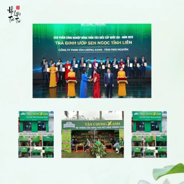 Trà Xanh Túi Lọc Bịch 100 Gói Kinh Tế - Tân Cương Xanh Giá Chỉ 28.000 VNĐ