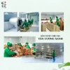 Trà Xanh Túi Lọc Bịch 100 Gói Kinh Tế - Tân Cương Xanh Giá Chỉ 28.000 VNĐ 6