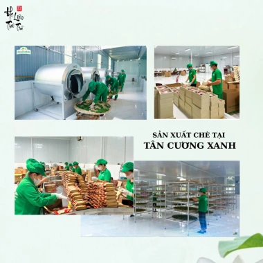 Trà Xanh Túi Lọc Bịch 100 Gói Kinh Tế - Tân Cương Xanh Giá Chỉ 28.000 VNĐ 6 Trà Xanh Túi Lọc Bịch 100 Gói Kinh Tế - Tân Cương Xanh Giá Chỉ 28.000 VNĐ 6