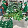 Trà Xanh Túi Lọc Bịch 100 Gói Kinh Tế - Tân Cương Xanh Giá Chỉ 28.000 VNĐ 9