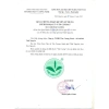 Trà Xanh Túi Lọc Tân Cương Xanh 20 Gói 2gr - Giảm 30.000đ, Tăng Sức Đề Kháng 4