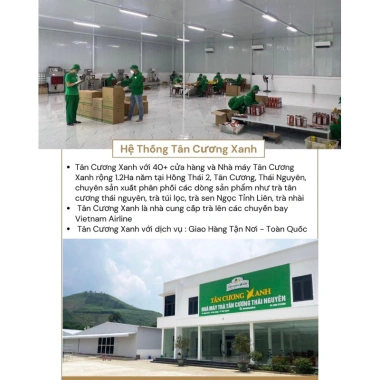 Trà Xanh Túi Lọc Tân Cương Xanh 20 Gói 2gr - Giảm 30.000đ, Tăng Sức Đề Kháng