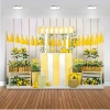 Trái Cây Chanh Nền Photocall Sinh Nhật Sơ Sinh Gỗ Trắng Giá ưu đãi 125.400₫ 2