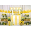 Trái Cây Chanh Nền Photocall Sinh Nhật Sơ Sinh Gỗ Trắng Giá ưu đãi 125.400₫ 4