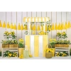 Trái Cây Chanh Nền Photocall Sinh Nhật Sơ Sinh Gỗ Trắng Giá ưu đãi 125.400₫ 6