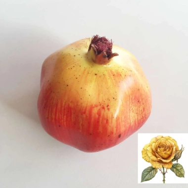 Trái lựu giả cao cấp, mẫu thật, trang trí nội thất, giảm còn 37.000đ