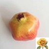 Trái lựu giả cao cấp, mẫu thật, trang trí nội thất, giảm còn 37.000đ 5