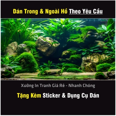 Tranh 3D dán hồ cá, cây thủy sinh - Nhiều kích thước, có sẵn keo, giảm còn 37.5k 5