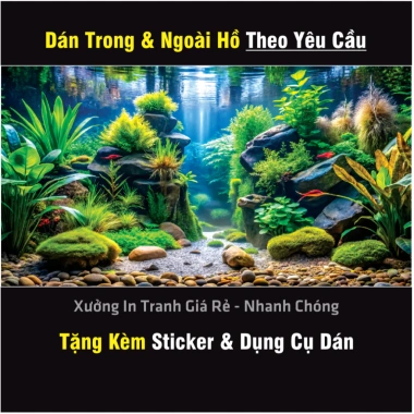 Tranh 3D dán hồ cá, cây thủy sinh - Nhiều kích thước, có sẵn keo, giảm còn 37.5k 6