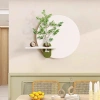 Tranh Cắm Hoa Đèn LED - Trang Trí Phòng Khách, Phòng Ngủ, Spa, Quán Cà Phê 329k 4