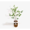 Tranh treo tường kệ đơn giản cắm hoa - Trang trí nhà, hành lang, spa, cửa hàng, giá 245.000₫ 6