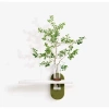 Tranh treo tường kệ đơn giản cắm hoa - Trang trí nhà, hành lang, spa, cửa hàng, giá 245.000₫ 7