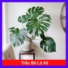 Trầu Bà Lá Xẻ Nam Mỹ - Giá 65.000 VNĐ, giảm từ 78.650, tươi ngon, dưỡng sức
